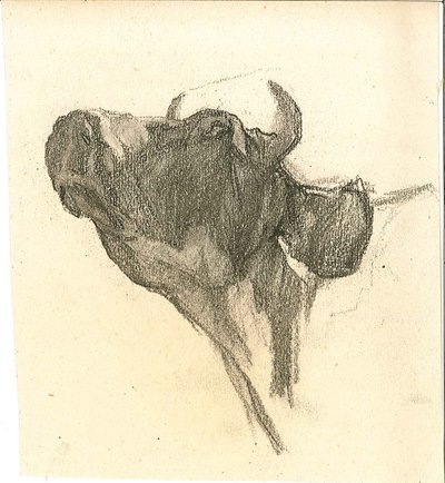 Cow by Henry Luyten